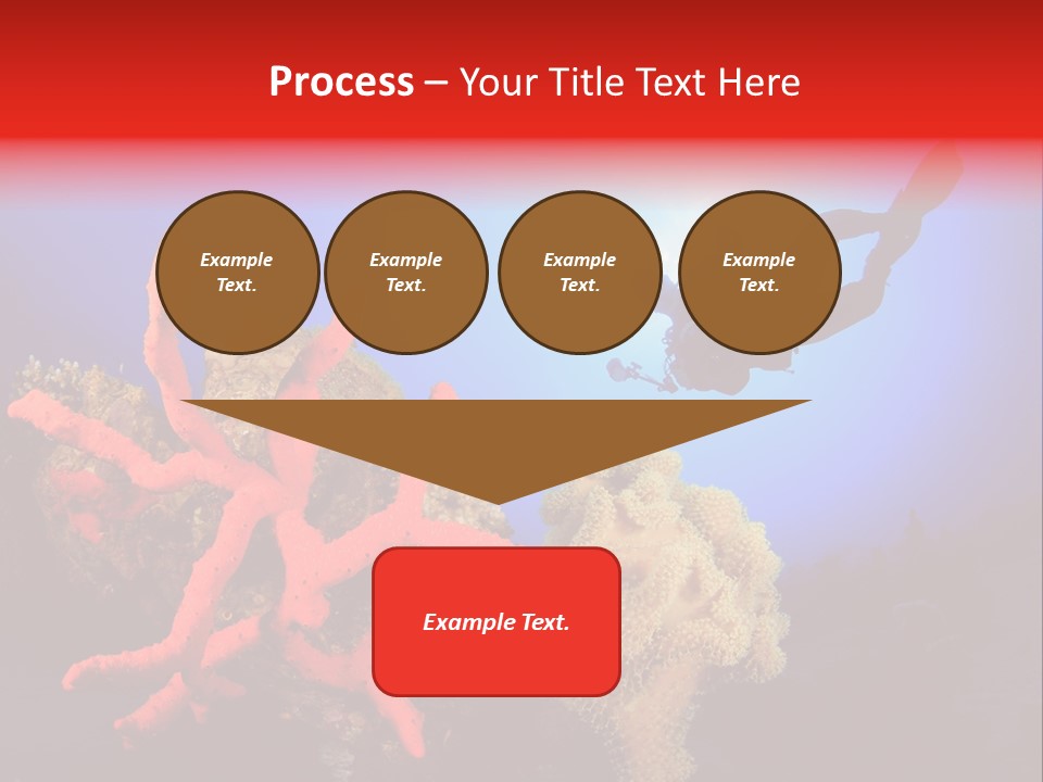 Marsa Alam Wildlife Natural PowerPoint Template