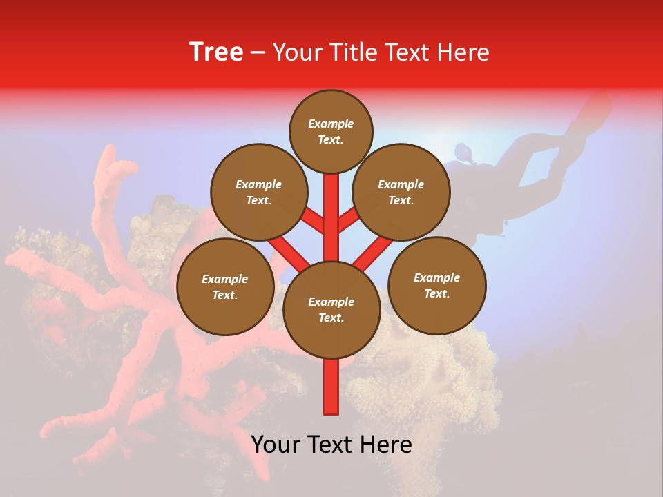 Marsa Alam Wildlife Natural PowerPoint Template