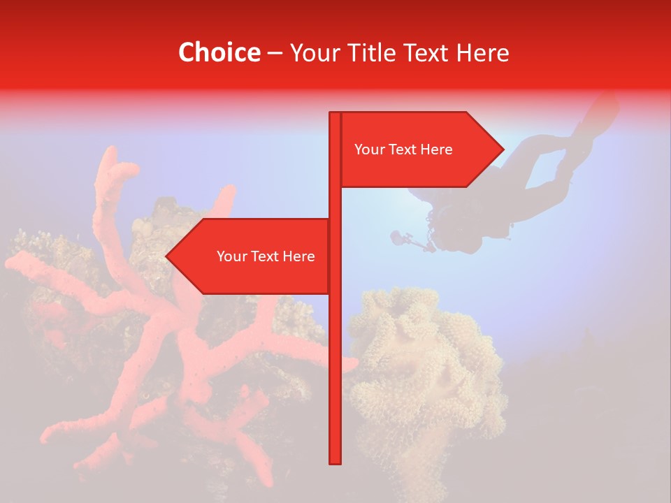 Marsa Alam Wildlife Natural PowerPoint Template