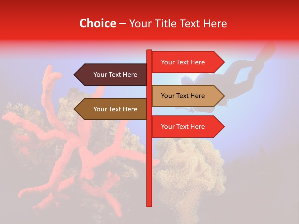 Marsa Alam Wildlife Natural PowerPoint Template