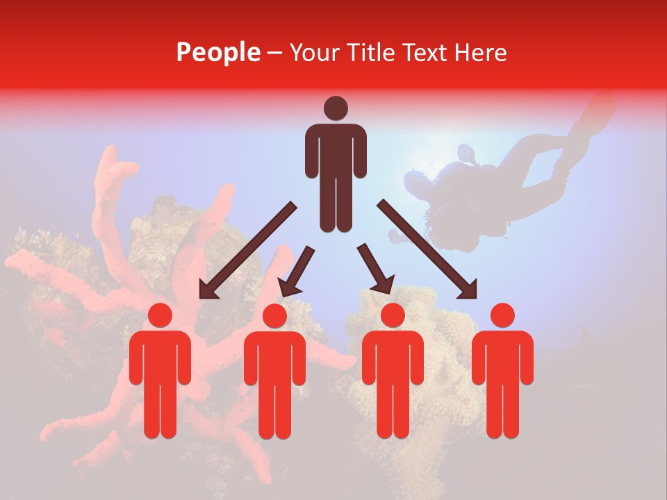 Marsa Alam Wildlife Natural PowerPoint Template