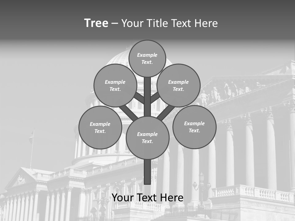 Washington Historic White PowerPoint Template