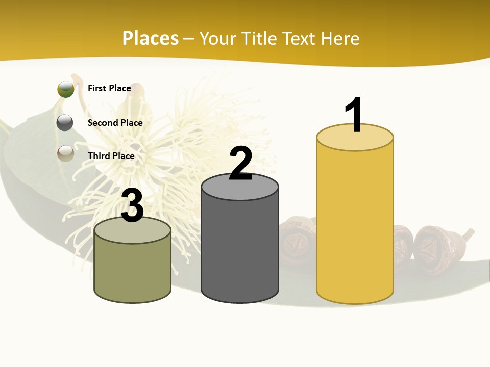 Viminalis Gumtree Eucalyptus PowerPoint Template