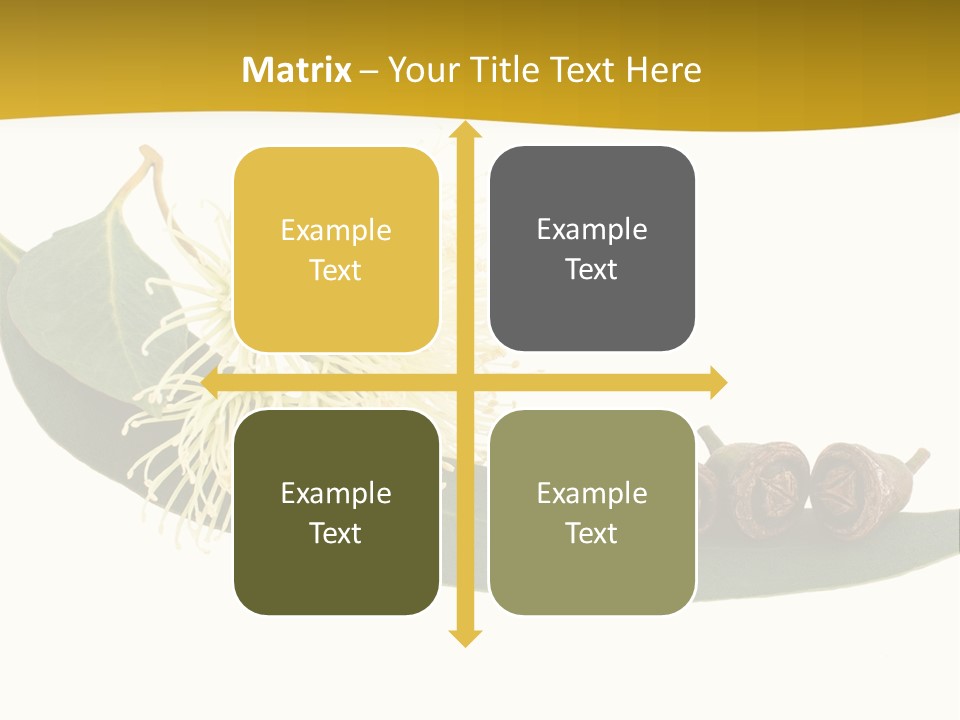 Viminalis Gumtree Eucalyptus PowerPoint Template
