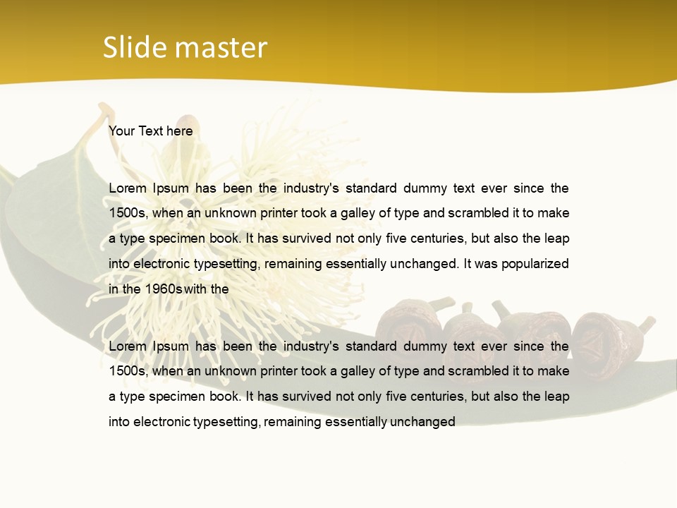Viminalis Gumtree Eucalyptus PowerPoint Template