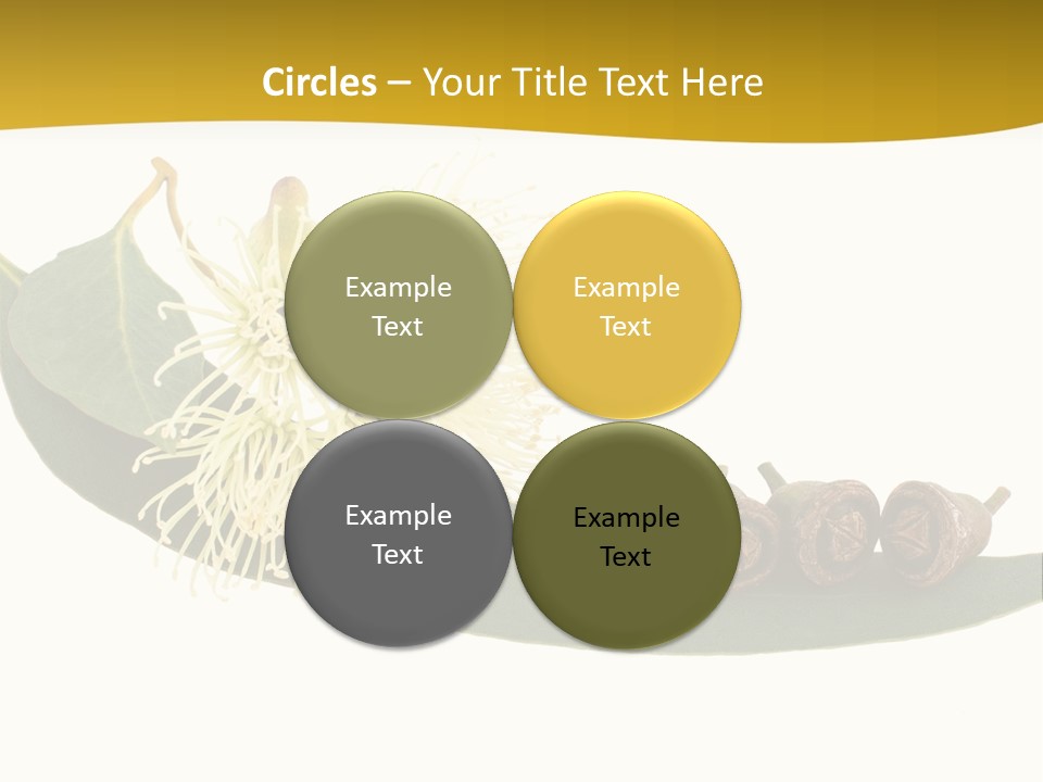 Viminalis Gumtree Eucalyptus PowerPoint Template