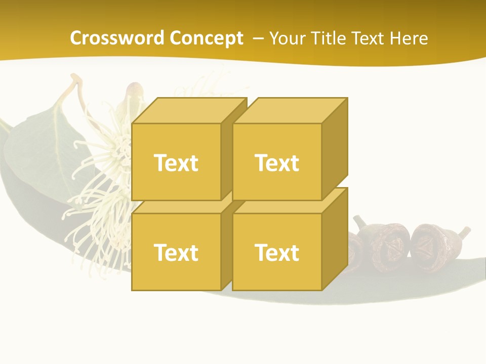 Viminalis Gumtree Eucalyptus PowerPoint Template