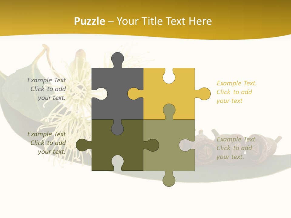 Viminalis Gumtree Eucalyptus PowerPoint Template