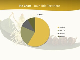 Viminalis Gumtree Eucalyptus PowerPoint Template