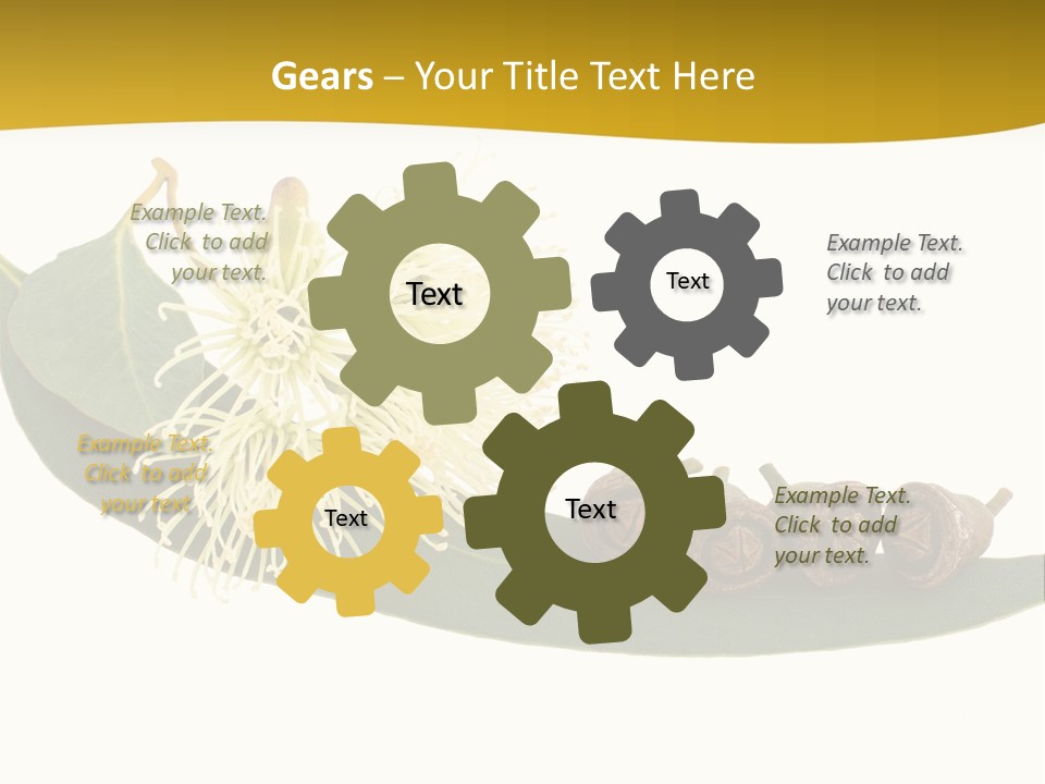 Viminalis Gumtree Eucalyptus PowerPoint Template