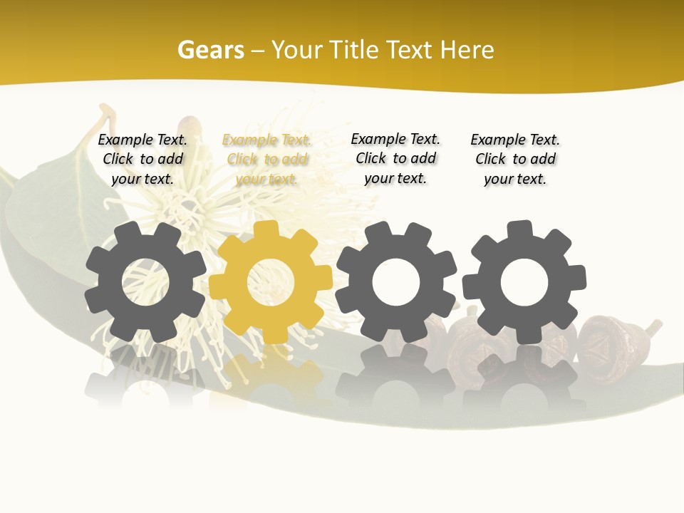 Viminalis Gumtree Eucalyptus PowerPoint Template