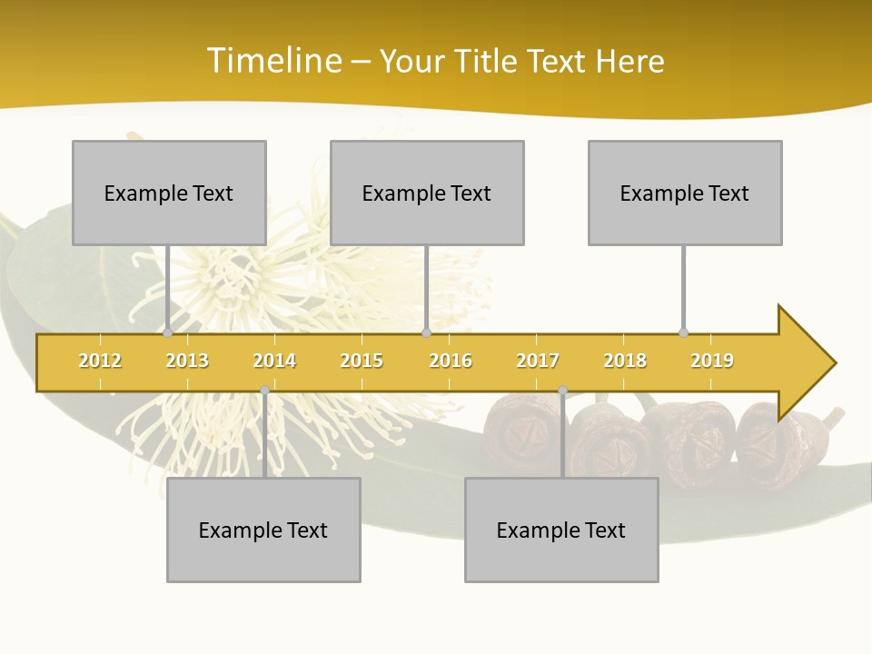 Viminalis Gumtree Eucalyptus PowerPoint Template