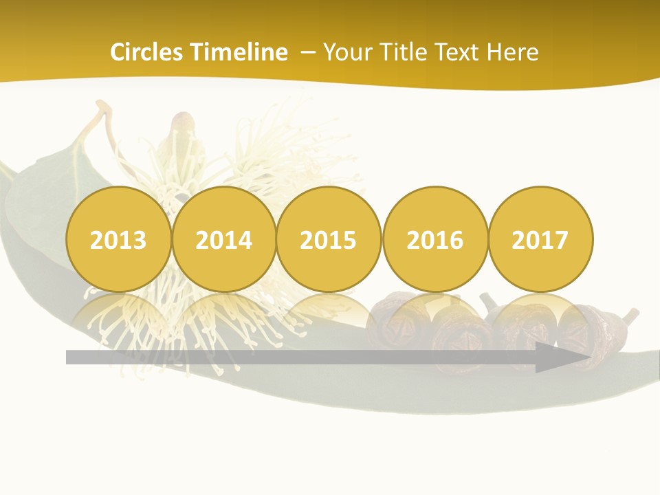 Viminalis Gumtree Eucalyptus PowerPoint Template