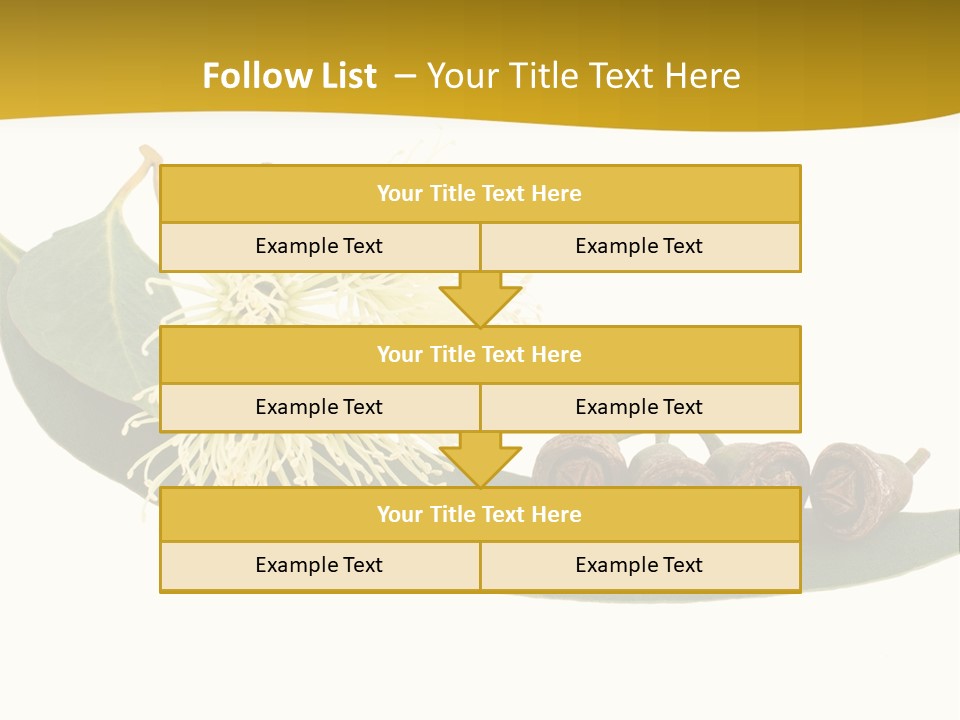 Viminalis Gumtree Eucalyptus PowerPoint Template