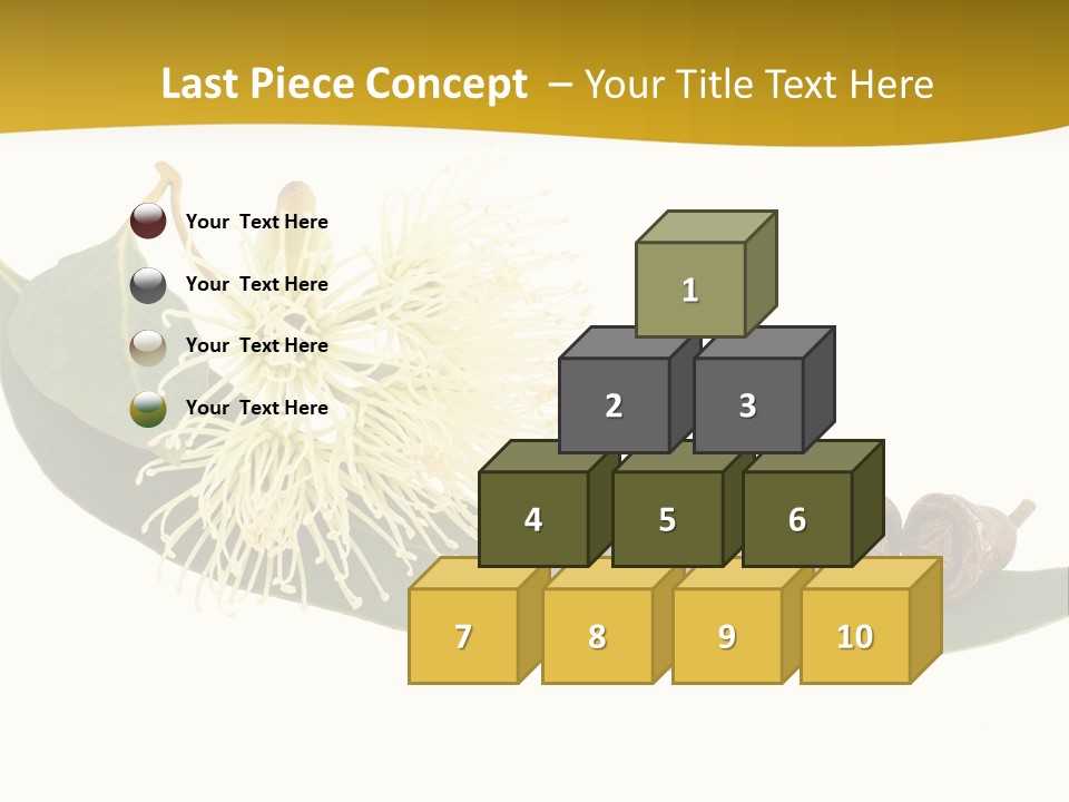 Viminalis Gumtree Eucalyptus PowerPoint Template