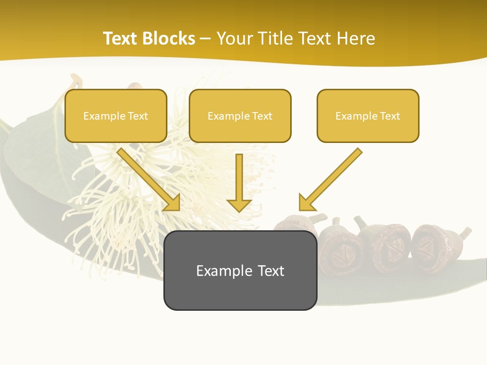 Viminalis Gumtree Eucalyptus PowerPoint Template