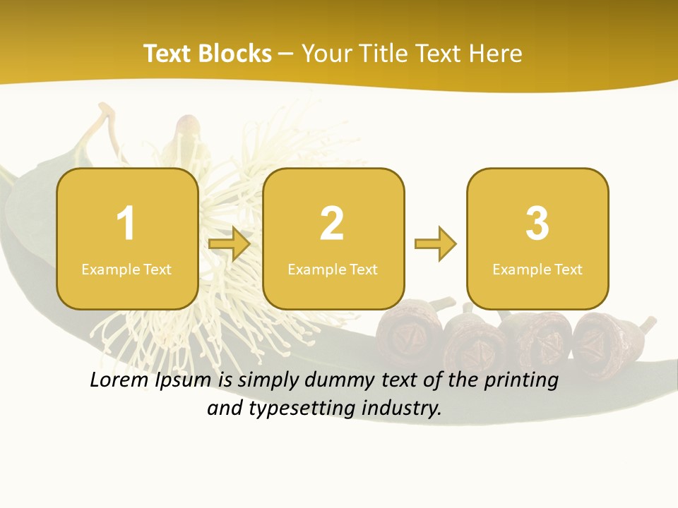 Viminalis Gumtree Eucalyptus PowerPoint Template