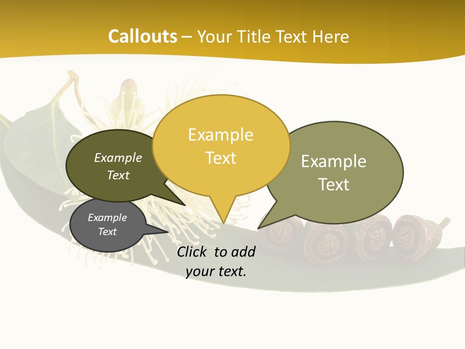 Viminalis Gumtree Eucalyptus PowerPoint Template