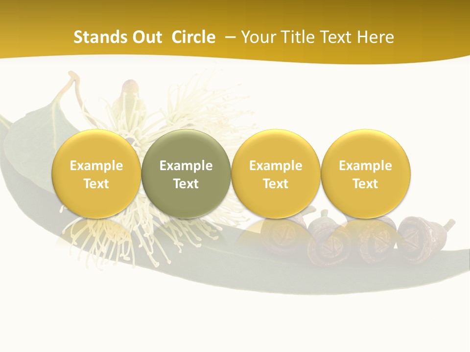 Viminalis Gumtree Eucalyptus PowerPoint Template