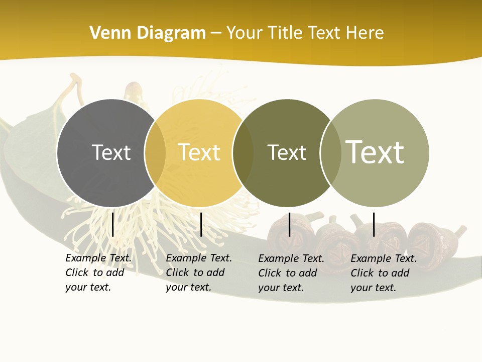 Viminalis Gumtree Eucalyptus PowerPoint Template