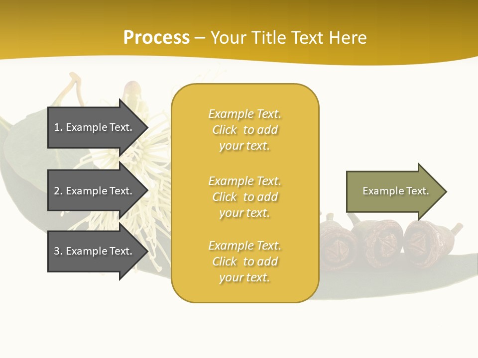 Viminalis Gumtree Eucalyptus PowerPoint Template