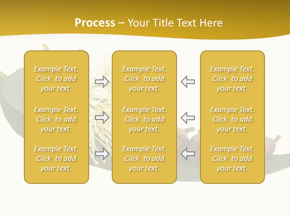 Viminalis Gumtree Eucalyptus PowerPoint Template