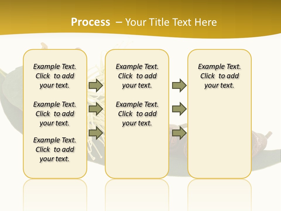 Viminalis Gumtree Eucalyptus PowerPoint Template