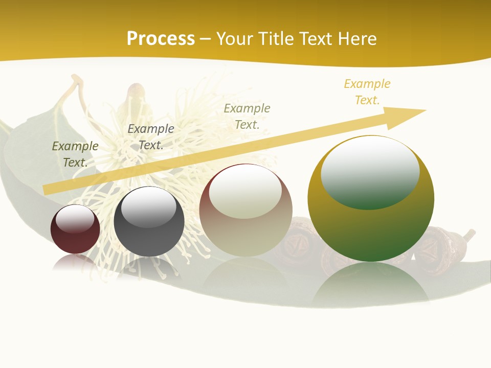 Viminalis Gumtree Eucalyptus PowerPoint Template