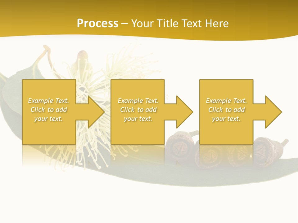 Viminalis Gumtree Eucalyptus PowerPoint Template