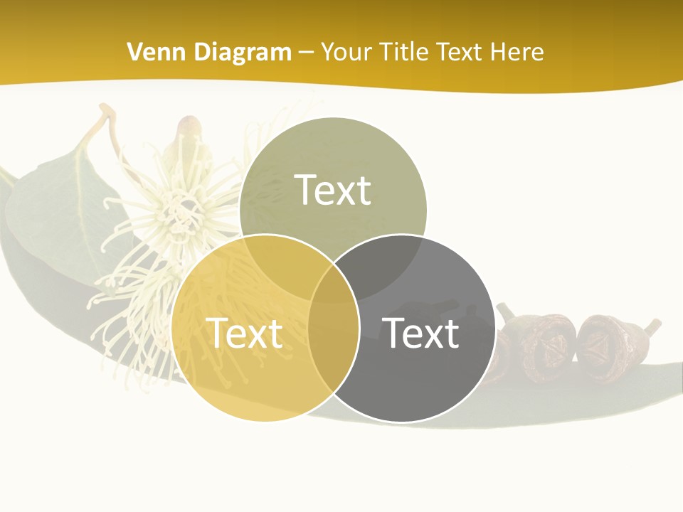 Viminalis Gumtree Eucalyptus PowerPoint Template