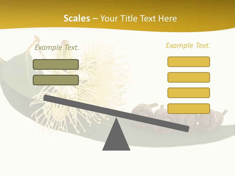 Viminalis Gumtree Eucalyptus PowerPoint Template