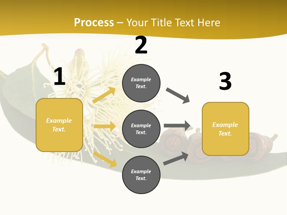 Viminalis Gumtree Eucalyptus PowerPoint Template