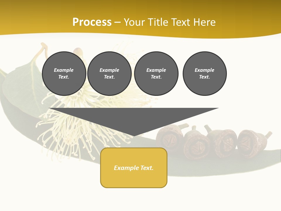 Viminalis Gumtree Eucalyptus PowerPoint Template