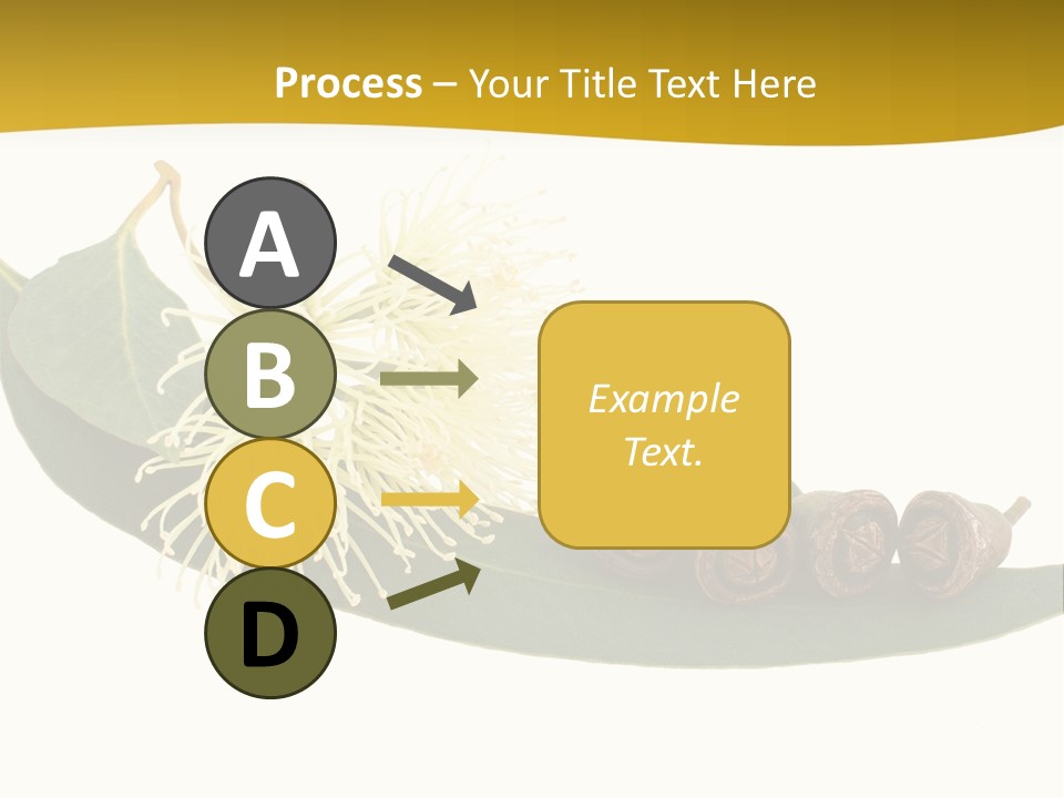 Viminalis Gumtree Eucalyptus PowerPoint Template