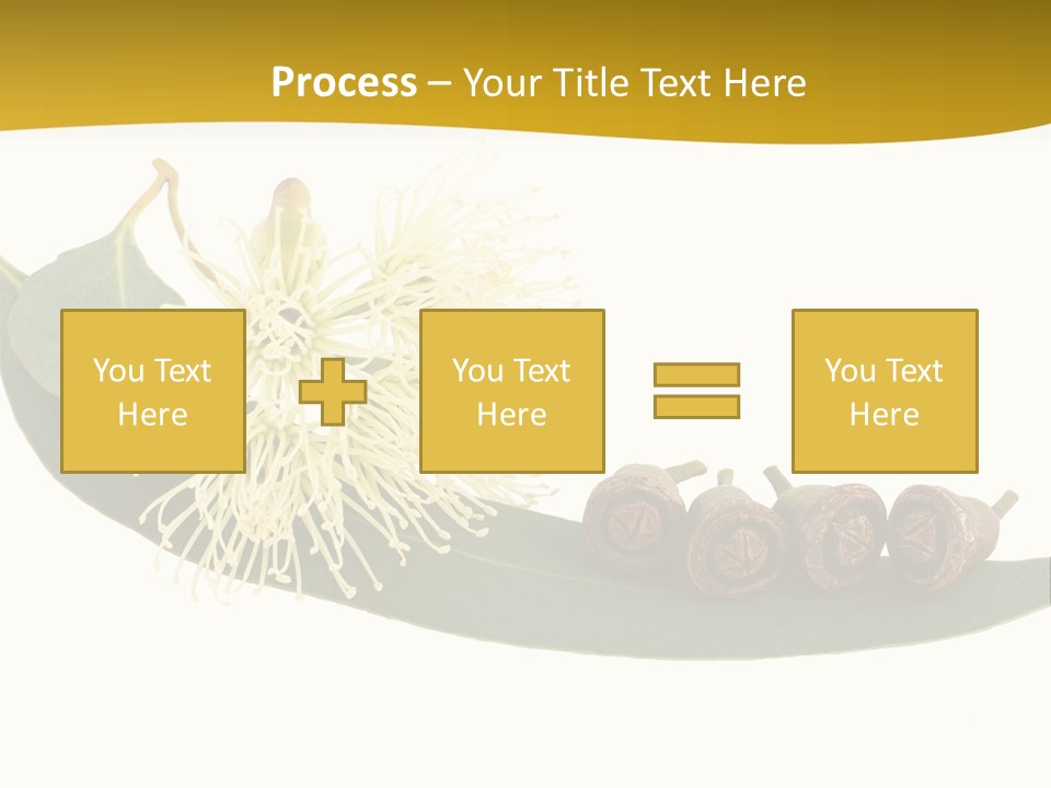 Viminalis Gumtree Eucalyptus PowerPoint Template