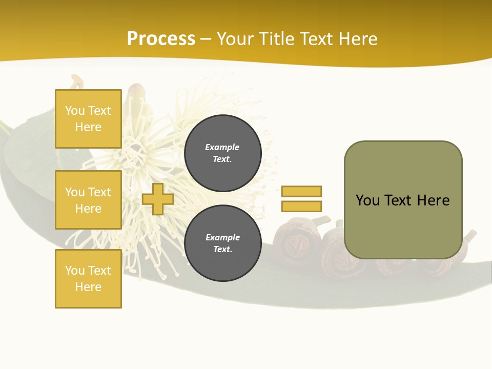 Viminalis Gumtree Eucalyptus PowerPoint Template