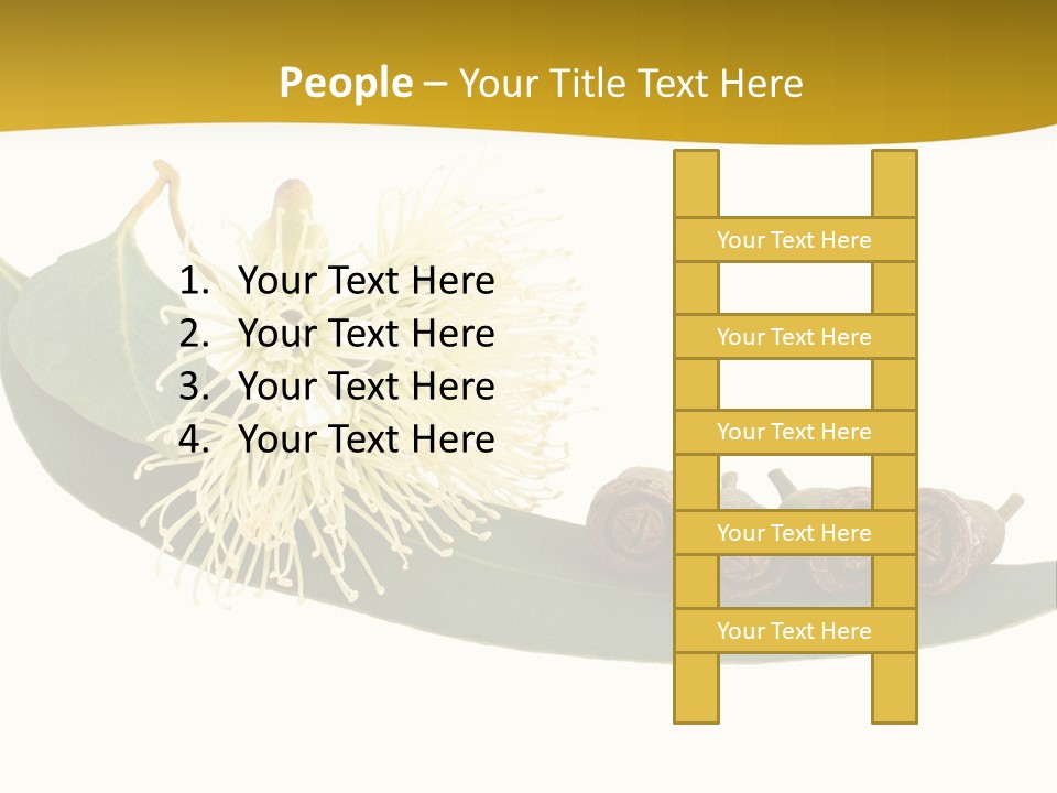 Viminalis Gumtree Eucalyptus PowerPoint Template