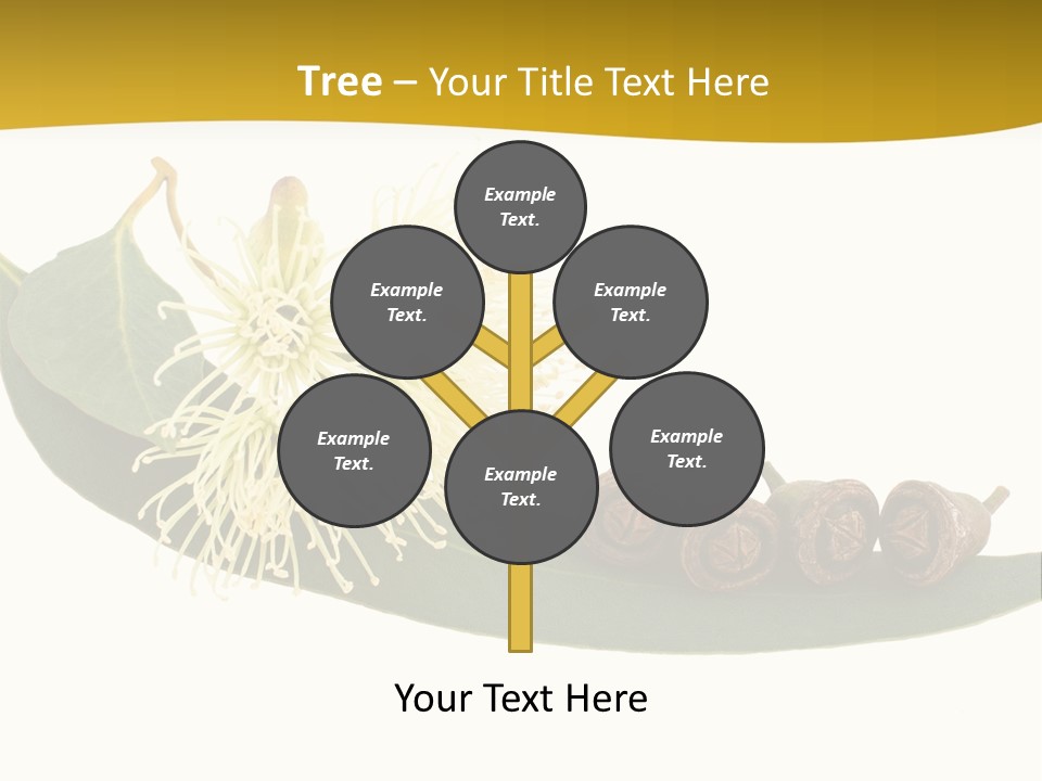 Viminalis Gumtree Eucalyptus PowerPoint Template