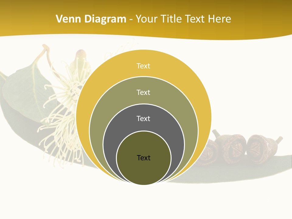 Viminalis Gumtree Eucalyptus PowerPoint Template