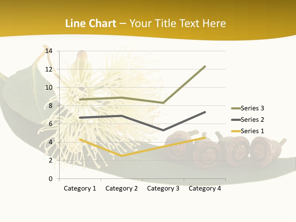 Viminalis Gumtree Eucalyptus PowerPoint Template