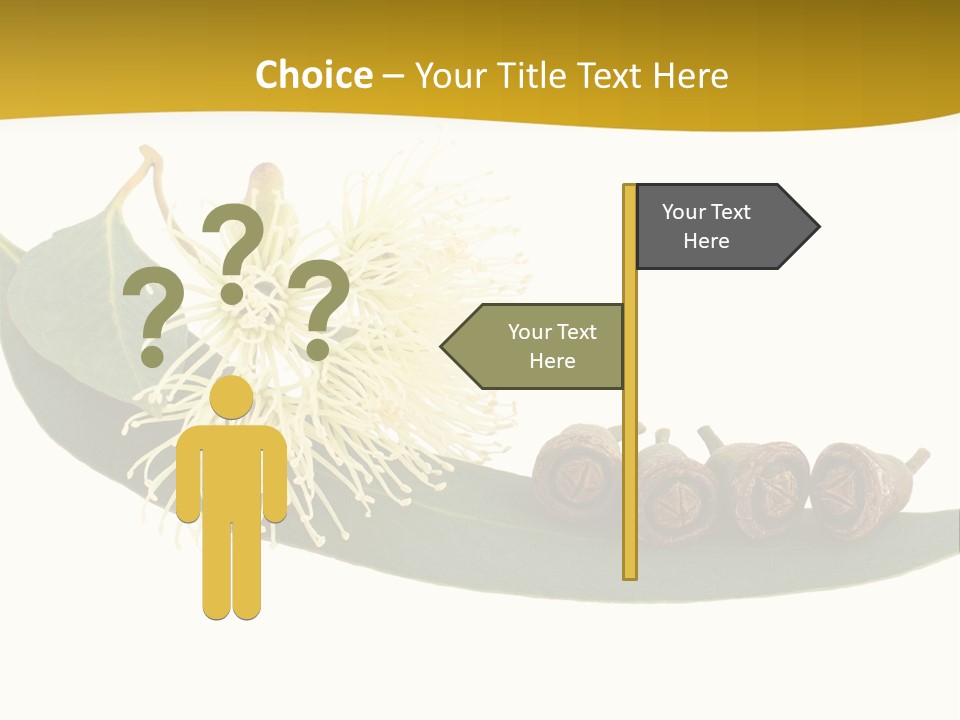 Viminalis Gumtree Eucalyptus PowerPoint Template