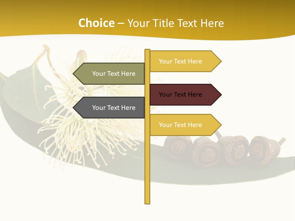 Viminalis Gumtree Eucalyptus PowerPoint Template
