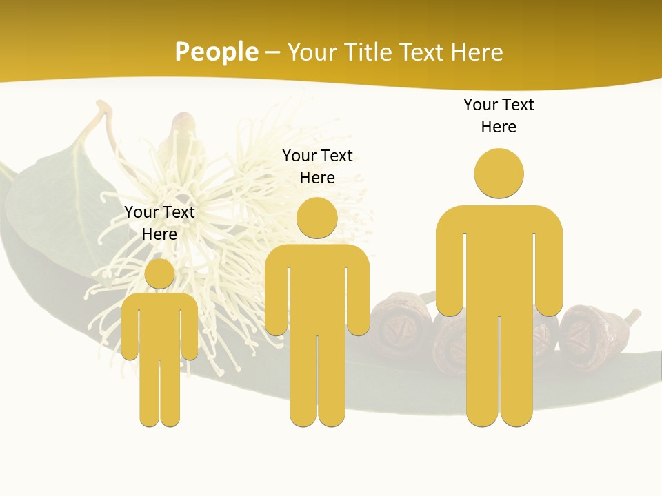 Viminalis Gumtree Eucalyptus PowerPoint Template