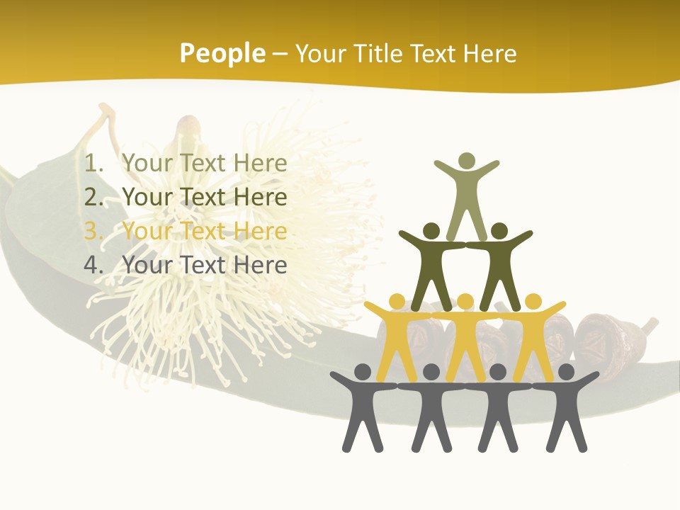 Viminalis Gumtree Eucalyptus PowerPoint Template