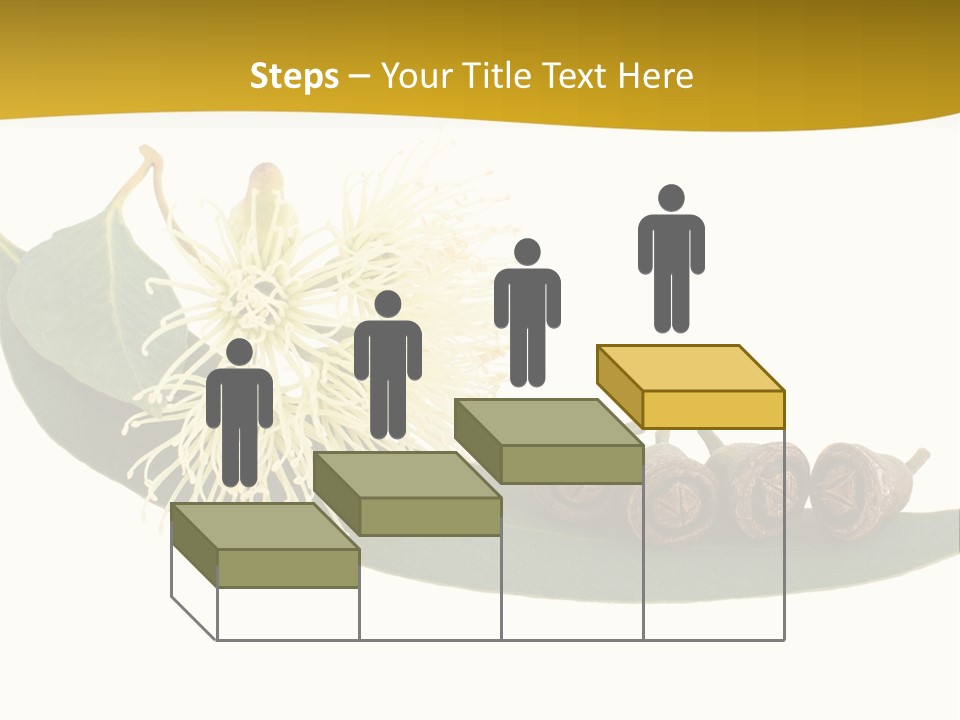 Viminalis Gumtree Eucalyptus PowerPoint Template