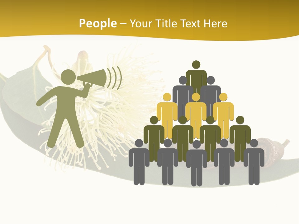 Viminalis Gumtree Eucalyptus PowerPoint Template