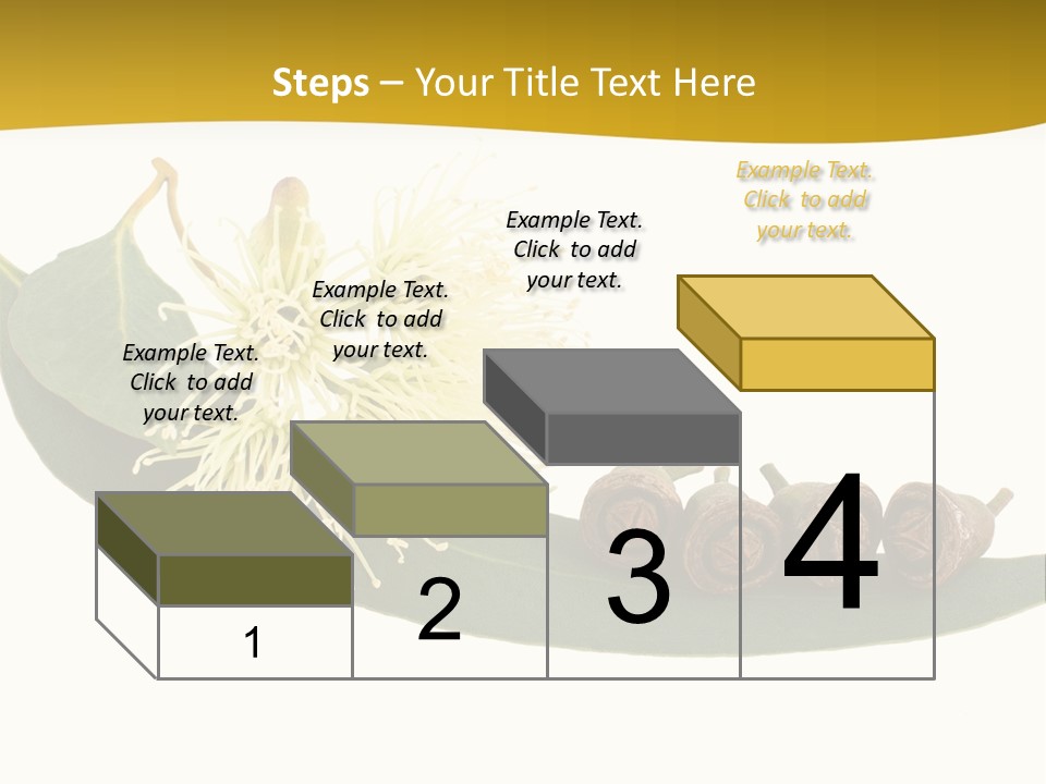 Viminalis Gumtree Eucalyptus PowerPoint Template