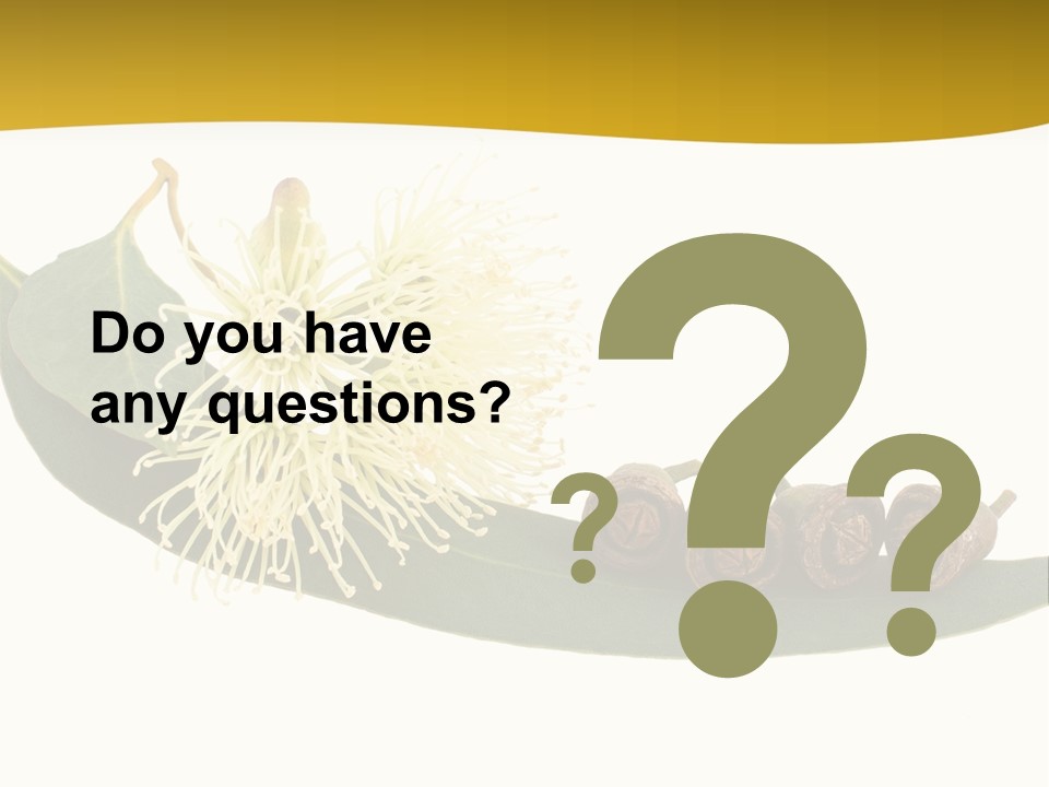 Viminalis Gumtree Eucalyptus PowerPoint Template
