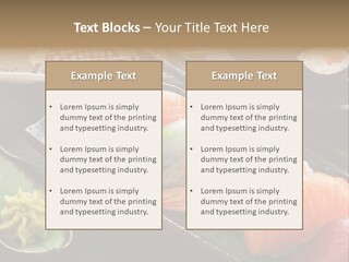 Asia Shrimp Food PowerPoint Template