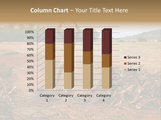 Chopping Naked Wildlife PowerPoint Template